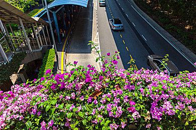 《方块方舟》Steam夏促销量创历史新高，中国区玩家激增